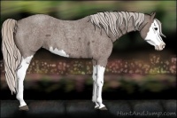 Horse Color:Silver Blue Roan Splash  and Silver Blue Roan Splash 
