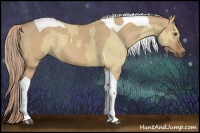 Horse Color:Palomino Dun Tobiano and Palomino Dun Tobiano