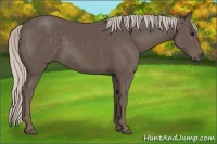 Horse Color:Silver Black 