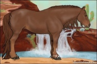 Horse Color:Chestnut and Chestnut