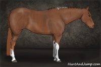 Horse Color:Chestnut Tobiano Rabicano Brindle