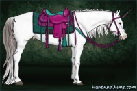 Horse Color:White Spotted Brown Dun Appaloosa  and White Spotted Brown Dun Appaloosa 