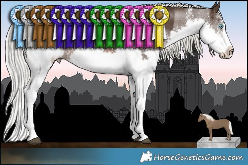 Horse Color:Liver Chestnut Mushroom Sabino Splash  and Liver Chestnut Mushroom Sabino Splash 