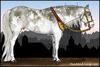 Horse Color:Liver Chestnut Sabino Splash and Liver Chestnut Sabino Splash