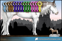 Horse Color:Liver Chestnut Mushroom Sabino Splash  and Liver Chestnut Mushroom Sabino Splash 