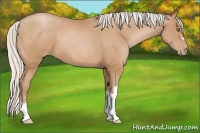 Horse Color:Silver Bay Pearl