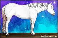 Horse Color:Bay Dun Sabino Appaloosa 