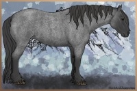 Horse Color:Smoky Blue Roan Sabino 