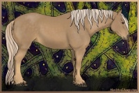 Horse Color:Palomino Sabino 