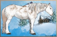 Horse Color:Red Dun Sabino