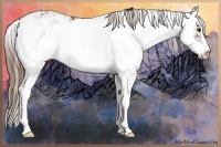Horse Color:Chestnut Sabino