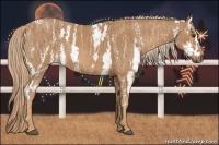 Horse Color:Chestnut Sabino Brindle