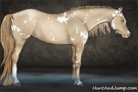 Horse Color:White Spotted Liver Red Dun Pearl Sabino
