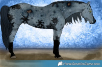 Horse Color:ERROR: UNKNOWN ANOMALY