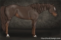 Horse Color:Liver Chestnut Sabino