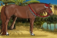 Horse Color:Chestnut Sabino 