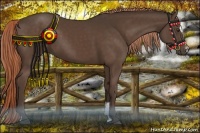 Horse Color:Liver Chestnut Sabino