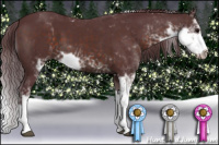 Horse Color:Chocolate Brown Sabino 