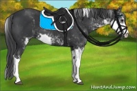 Horse Color:Black Sabino