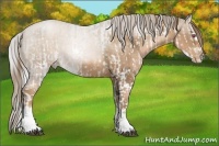 Horse Color:White Spotted Silver Black Chinchilla Pearl Sabino and Liver Chestnut Pearl Sabino