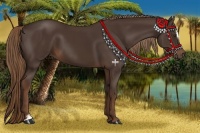 Horse Color:Liver Chestnut Sabino