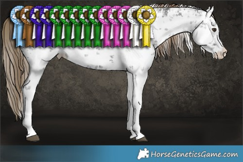 Horse Color:White Spotted Liver Chestnut Sabino 