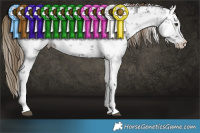 Horse Color:White Spotted Liver Chestnut Sabino