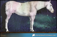 Horse Color:White Spotted Liver Red Dun Ice Onyx Splash and White Spotted Liver Red Dun Ice Onyx Splash