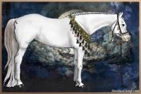 Horse Color:Black Appaloosa Rabicano 