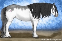 Horse Color:Blue Roan Splash Frame Rabicano 