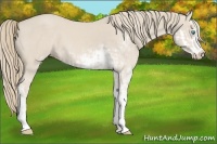 Horse Color:Smoky Creme Sabino  and Smoky Creme Sabino 