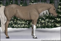 Horse Color:Silver Smoky Black Tobiano 