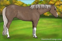 Horse Color:Silver Black 