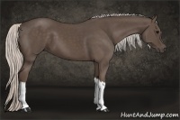 Horse Color:Silver Black 