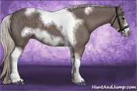 Horse Color:Silver Black Sabino Tobiano Frame Rabicano