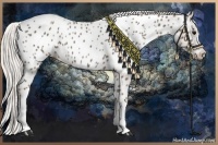 Horse Color:Silver Black Blanket