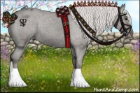 Horse Color:Silver Black Appaloosa