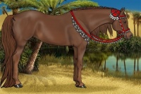 Horse Color:Chestnut Rabicano 