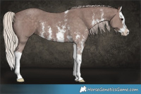 Horse Color:Chocolate Silver Black Sabino Splash 