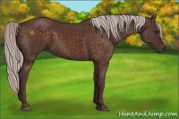 Horse Color:Chocolate Silver Bay 