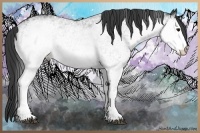 Horse Color:White Spotted Black 