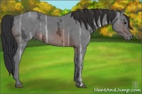 Horse Color:Brown Ice