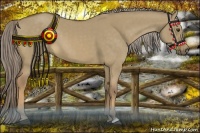 Horse Color:Chocolate Palomino Dun 