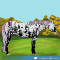 Horse Color:Nacre Watercolor Smoky Creme Ice Sabino  and Nacre Watercolor Smoky Creme Ice Sabino 