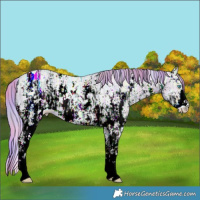 Horse Color:Nacre Watercolor Smoky Creme Ice Sabino  and Nacre Watercolor Smoky Creme Ice Sabino 