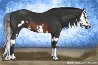 Horse Color:Brown Splash Frame  and Brown Splash Frame 