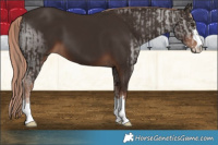 Horse Color:Liver Chestnut  and Liver Chestnut 