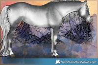 Horse Color:Silver Brown Chinchilla Onyx 