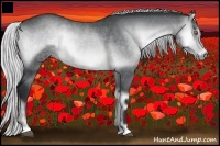 Horse Color:Silver Brown Chinchilla Onyx 