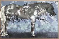 Horse Color:White Spotted Liver Chestnut Ice 